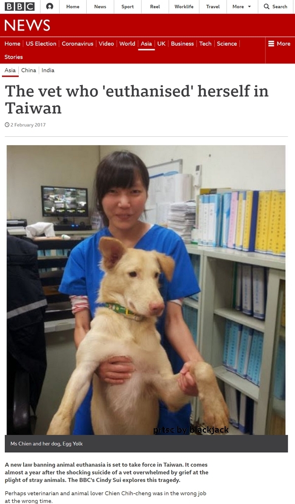 國際媒體紛紛報導獸醫簡稚澄因為臺灣的流浪狗安樂死政策輕生 