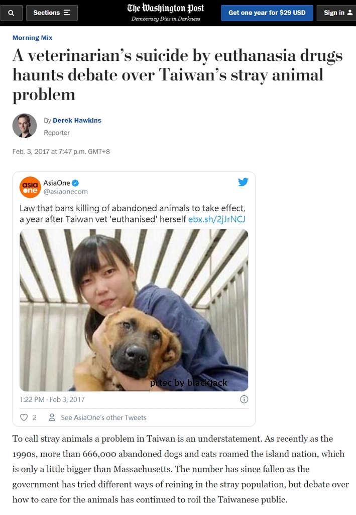 國際媒體紛紛報導獸醫簡稚澄因為臺灣的流浪狗安樂死政策輕生