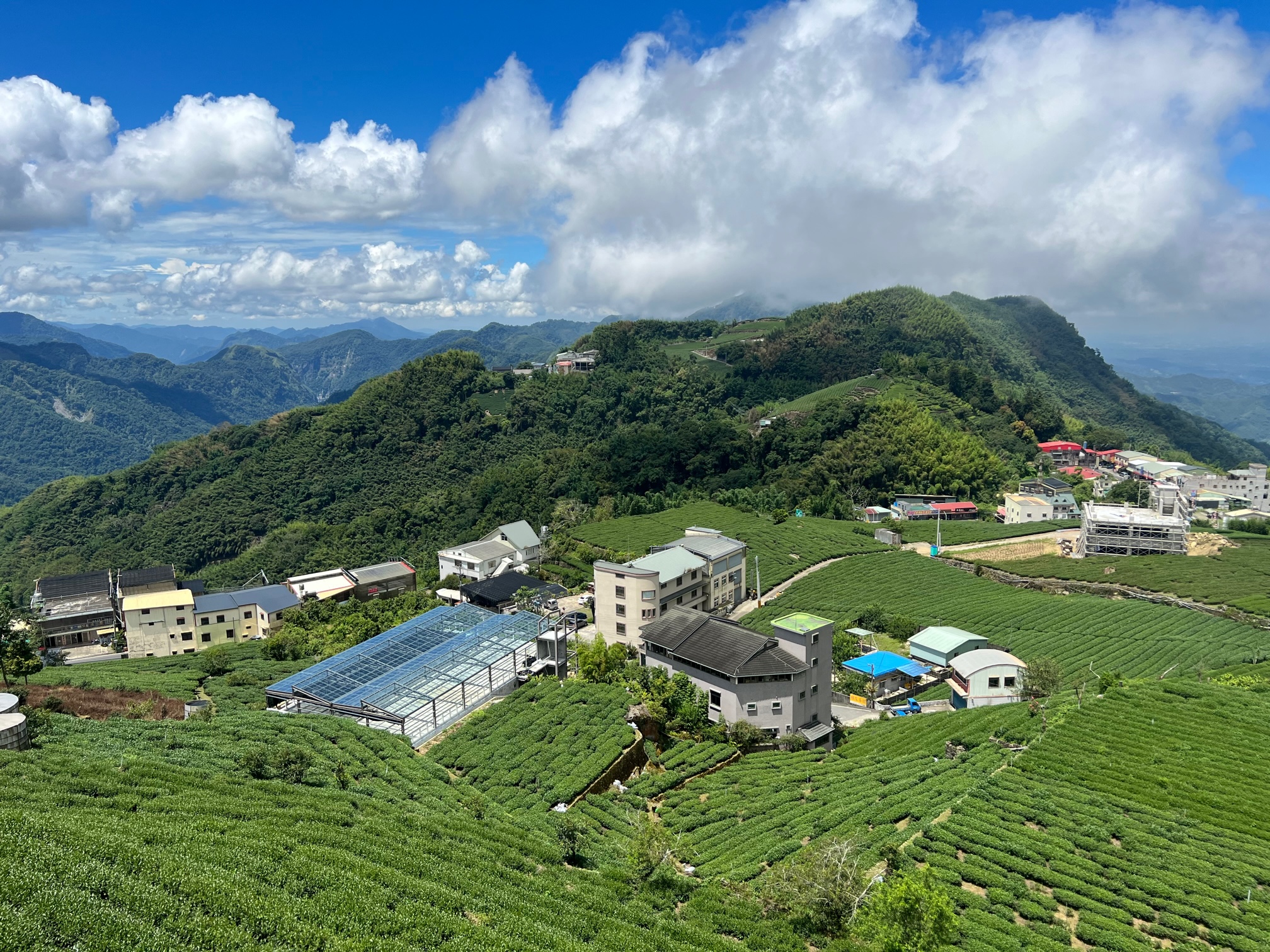 石棹是台灣好茶產區之一，現在也有規劃5條視野不錯，各有主題的步道